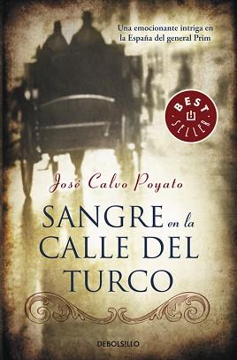 SANGRE EN LA CALLE DEL TURCO | 9788499897165 | CALVO POYATO,JOSE