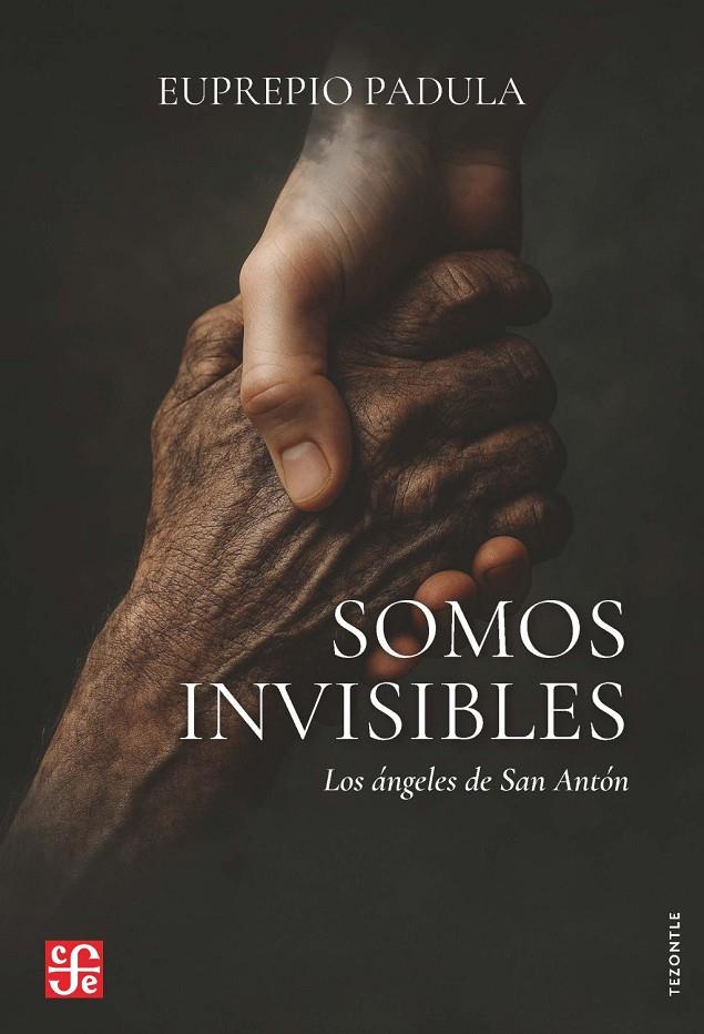 SOMOS INVISIBLES | 9788437508542 | PADULA, EUPREPIO