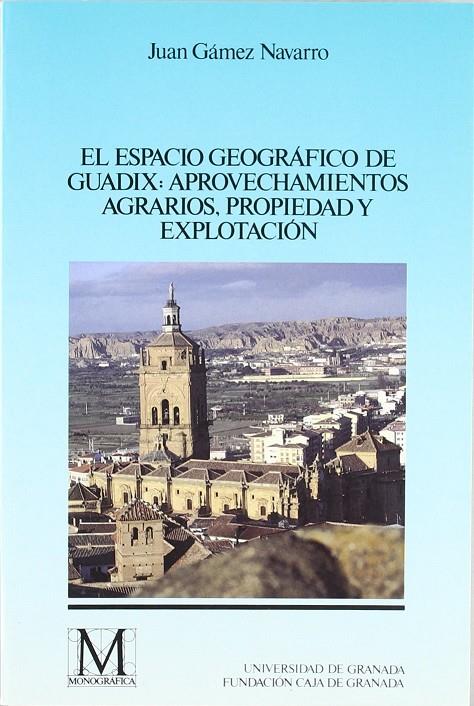 ESPACIO GEOGRAFICO DE GUADIX | 9788433821171 | GAMEZ NAVARRO,JUAN