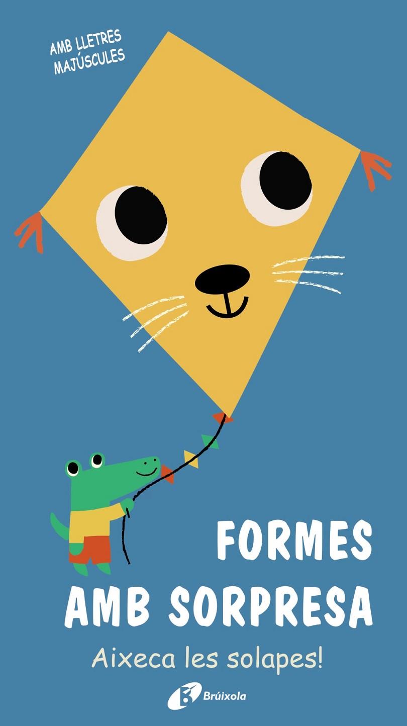 FORMES AMB SORPRESA | 9788499063690 | VARIOS AUTORES