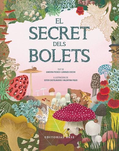 EL SECRET DELS BOLETS | 9791387728502 | PICOCO, GINEVRA / COCCHI, LORENZO