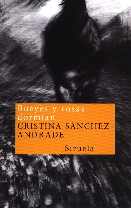 BUEYES Y ROSAS DORMIAN  NT-2 | 9788478445462 | SANCHEZ-ANDRADE, CRISTINA