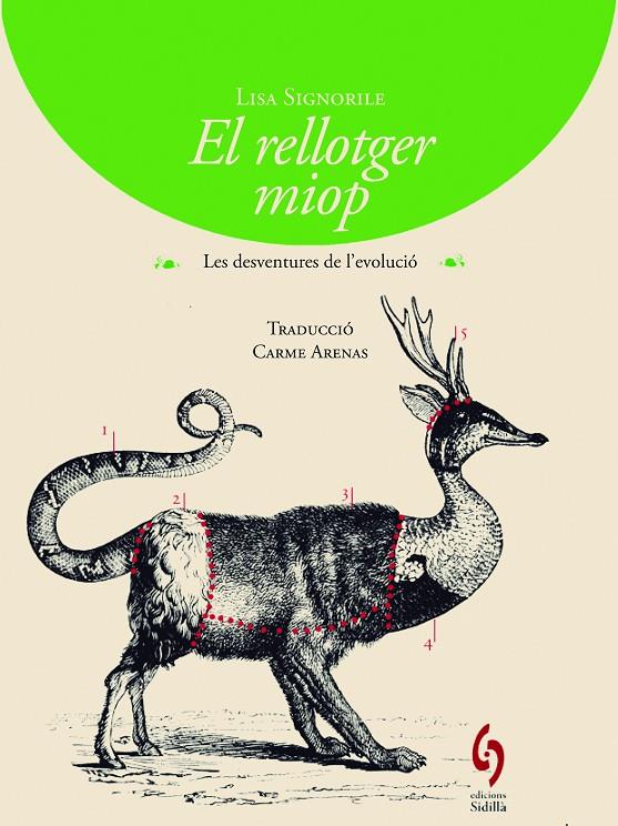 EL RELLOTGER MIOP | 9788494256424 | SIGNORILE, LISA