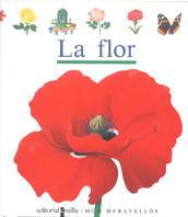 FLOR, LA | 9788476295953 | GALLIMARD JEUNESSE, ÉDITIONS