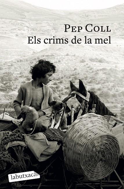 ELS CRIMS DE LA MEL | 9791387802196 | COLL, PEP
