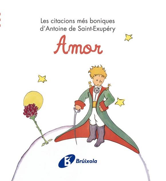 AMOR | 9788499061214 | -