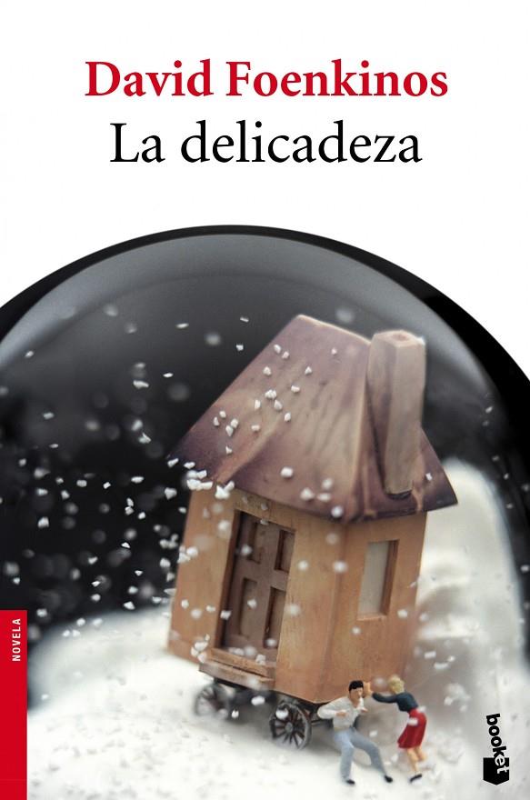 DELICADEZA | 9788432215896 | DAVID FOENKINOS