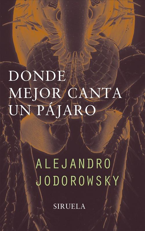 DONDE MEJOR CANTA EL PAJARO | 9788478445936 | JODOROWSKY