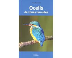 OCELLS DE ZONES HUMIDES | 9788417116255 | POU ROSSELL, ARNAU