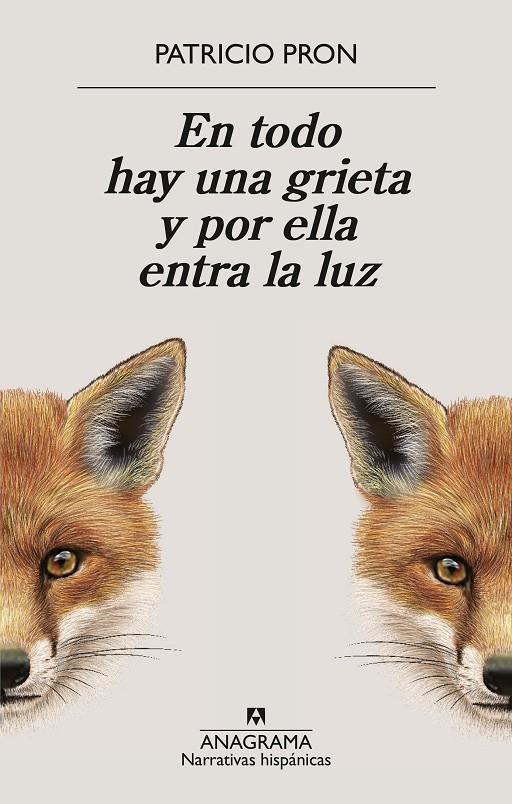 EN TODO HAY UNA GRIETA Y POR ELLA ENTRA LA LUZ | 9788433949158 | PRON, PATRICIO
