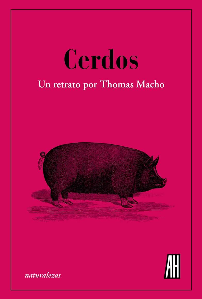 CERDOS | 9788412403398 | MACHO, THOMAS