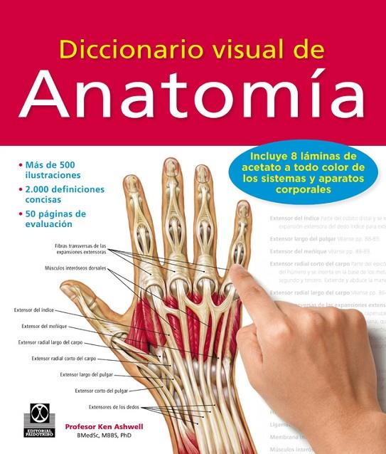 DICCIONARIO VISUAL DE ANATOMÍA | 9788499104522 | ASHWELL, KEN