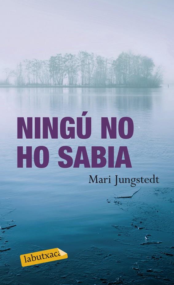 NINGÚ NO HO SABIA | 9788499304137