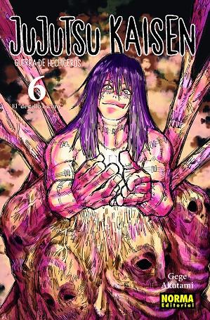 JUJUTSU KAISEN 6 | 9788467944204 | GEGE AKUTAMI