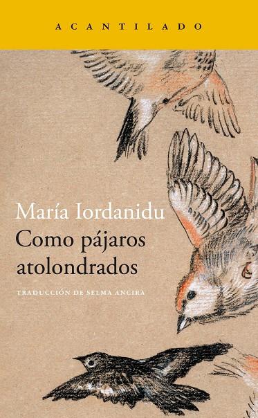 COMO PÁJAROS ATOLONDRADOS | 9788419036704 | IORDANIDU, MARIA