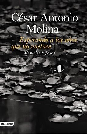 ESPERANDO A LOS AÑOS QUE NO VU | 9788423340040 | MOLINA, CESAR ANTONIO