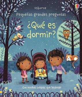 QUE ES DORMIR PEQUEÑAS GRANDES PREGUNTAS | 9781474952354