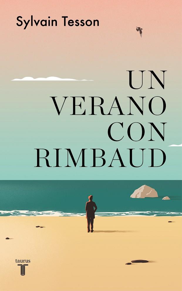 UN VERANO CON RIMBAUD | 9788430625864 | TESSON, SYLVAIN