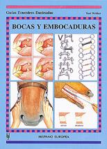 BOCAS Y EMBOCADURAS | 9788425510632 | WEBBER, TONI