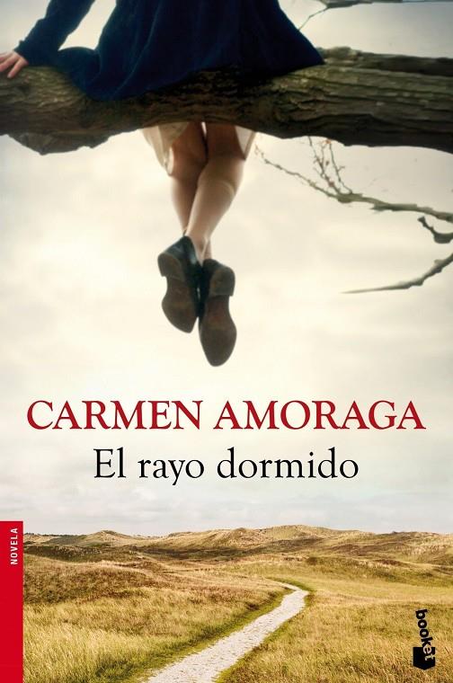 RAYO DORMIDO | 9788423346714 | CARMEN AMORAGA