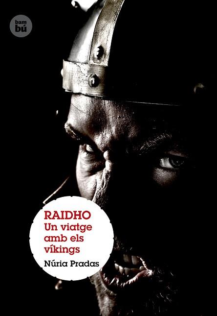 RAIDHO. UN VIATGE AMB ELS VÍKINGS | 9788483431399 | PRADAS, NÚRIA