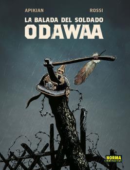 LA BALADA DEL SOLDADO ODAWAA | 9788467945768 | APIKIAN / ROSSI