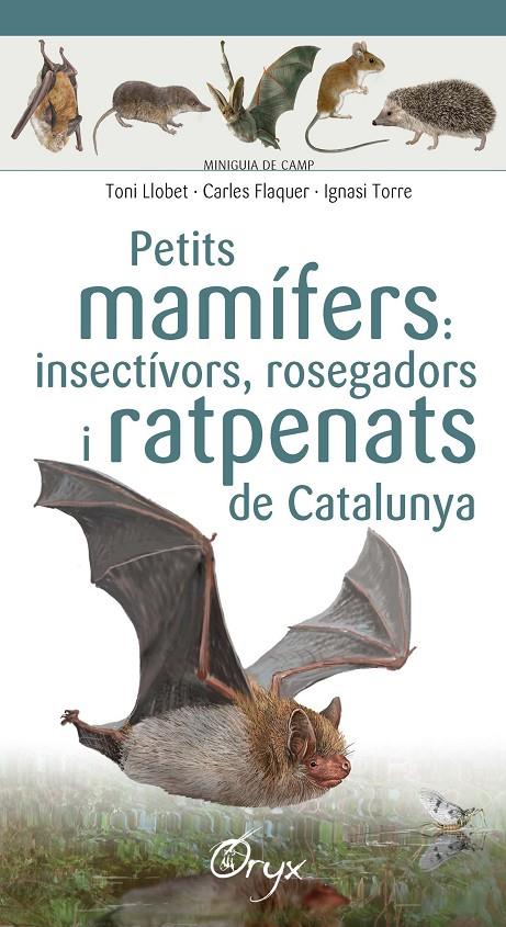 PETITS MAMÍFERS: INSECTÍVORS, ROSEGADORS I RATPENATS DE CATALUNYA | 9788490348956 | LLOBET FRANÇOIS , TONI / FLAQUER XX, CARLES / TORRE XX, IGNASI