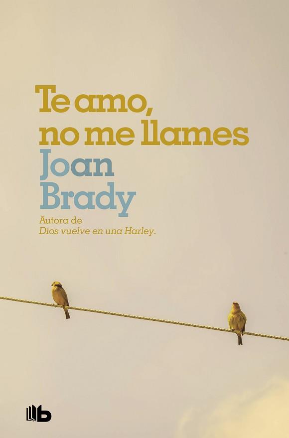 TE AMO, NO ME LLAMES | 9788490707487 | BRADY, JOAN