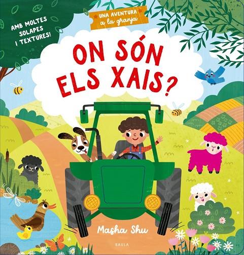 ON SÓN ELS XAIS? | 9788447955305 | , TOWNHOUSE PUBLISHING