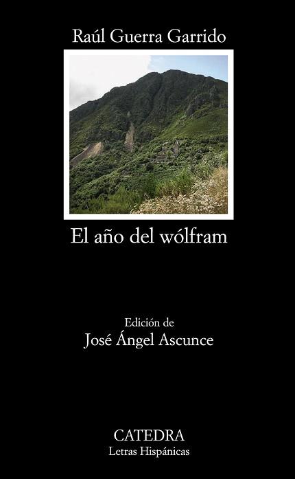 AÑO DEL WÓLFRAM | 9788437626505 | GUERRA GARRIDO, RAÚL