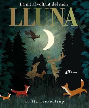 LLUNA | 9788499068497 | HEGARTY, PATRICIA