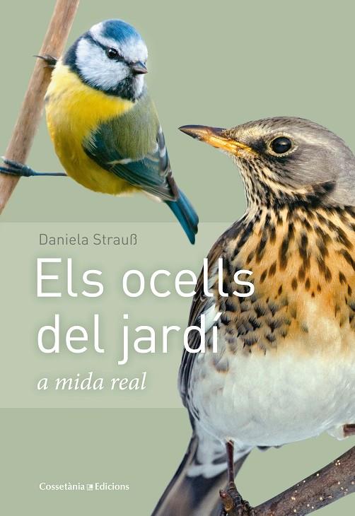 ELS OCELLS DEL JARDÍ | 9788490347461 | STRAUß, DANIELA