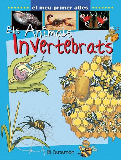 ELS ANIMALS INVERTEBRATS | 9788434227149 | MARCET, XAVIER