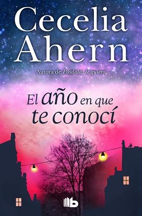 EL AÑO EN QUE TE CONOCÍ | 9788490703038 | AHERN, CECELIA