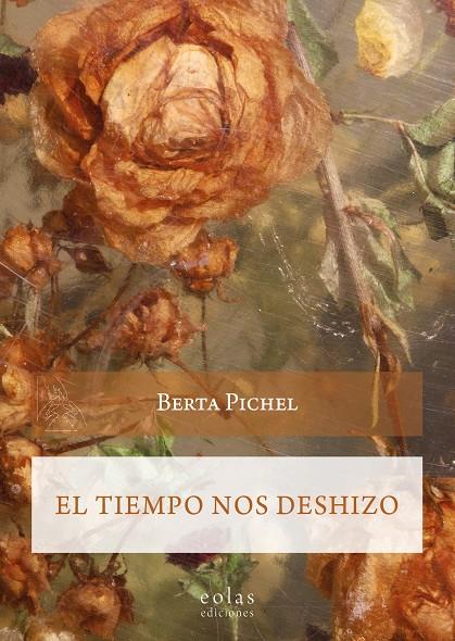 EL TIEMPO NOS DESHIZO | 9788419453020 | PICHEL, BERTA