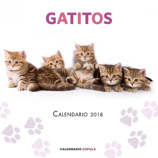 CALENDARIO GATITOS 2018 | 9788448023454 | AA. VV.