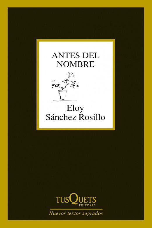ANTES DEL NOMBRE | 9788483834619 | ELOY SANCHEZ ROSILLO