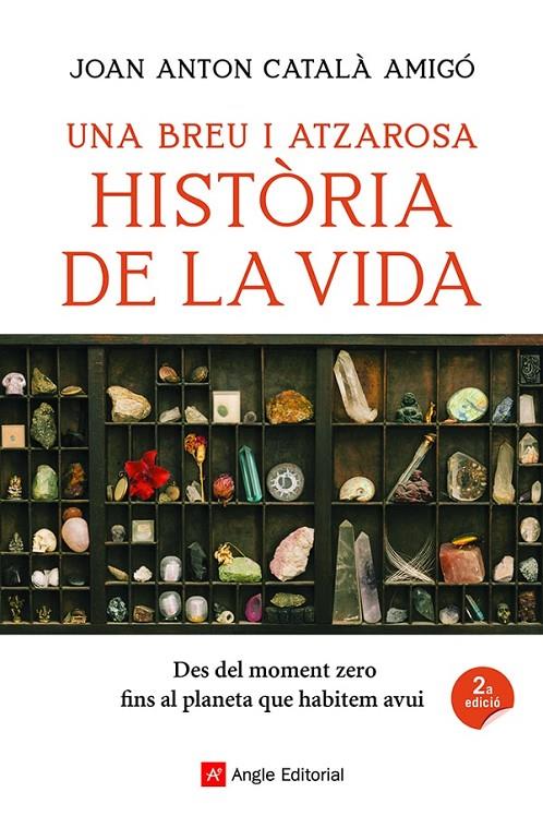 UNA BREU I ATZAROSA HISTÒRIA DE LA VIDA | 9788418197956 | CATALÀ AMIGÓ, JOAN ANTON