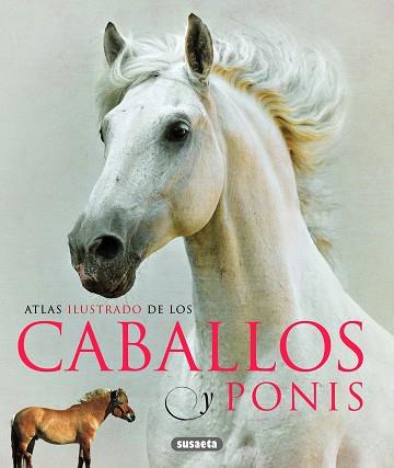 CABALLOS Y PONIS | 9788467713053 | RANSFORD, SANDY