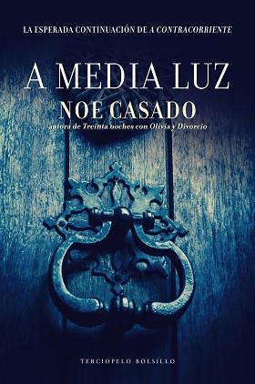 A MEDIA LUZ | 9788415952961 | CASADO, NOE