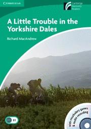 A LITTLE TROUBLE IN THE YORKSHIRE DALES BK/RO | 9788483235829 | MACANDREW, RICHARD