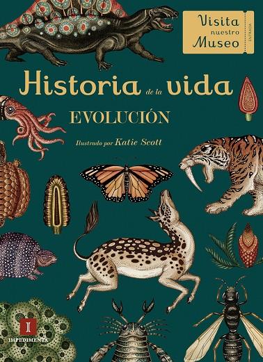 HISTORIA DE LA VIDA (LIBRO) | 9788417115425 | MUNRO, FIONA/SYMONS, RUTH