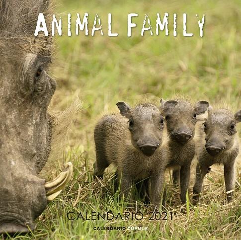 CALENDARIO ANIMAL FAMILY 2021 | 9788448027643 | AA. VV.