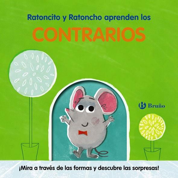 RATONCITO Y RATONCHO APRENDEN LOS CONTRARIOS | 9788469667569 | VVAA