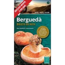 BERGUEDA -BOLETS EN RUTA ALPINA | 9788480908382 | CASABOSCH, MARC/ NAVARRO, CARLOS