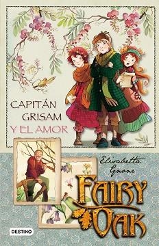 FAIRY OAK. CAPITAN GRISAM Y EL AMOR | 9788408087274 | GNONE, ELISABETTA