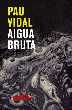 AIGUA BRUTA | 9788499301228 | VIDAL GAVILAN PAU