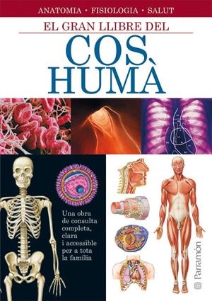 GRAN LLIBRE DEL COS HUMA, EL | 9788434228672 | VARIS
