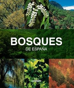 BOSQUES DE ESPAÑA. LUNWERG MEDIUM | 9788497857482