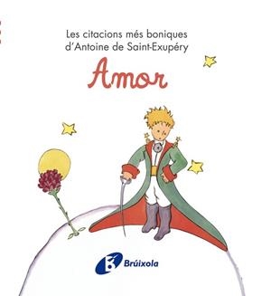AMOR | 9788499061214 | -